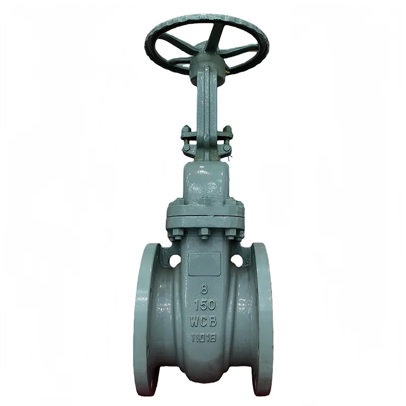 Carbon Steel ANSI Flange Gedhi Valve