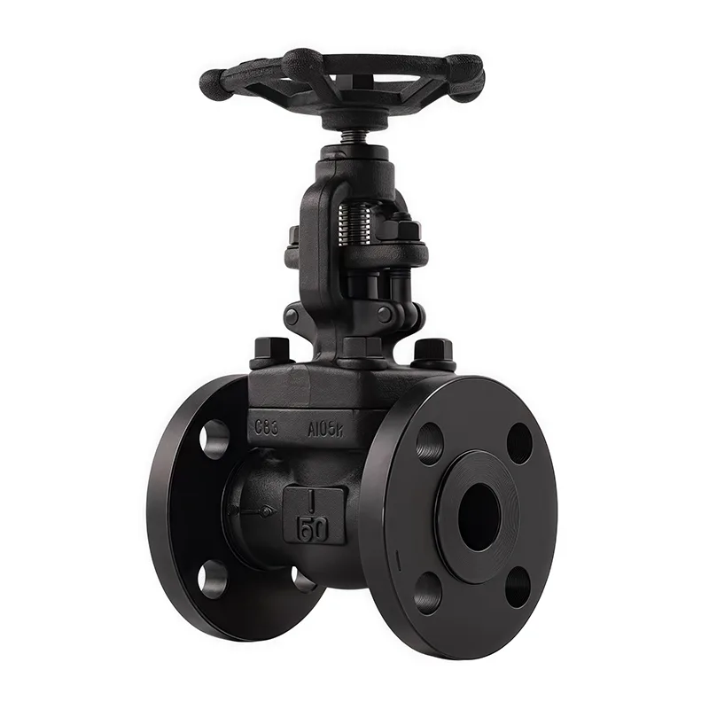 Yakagadzirwa Flanged Globe Valve