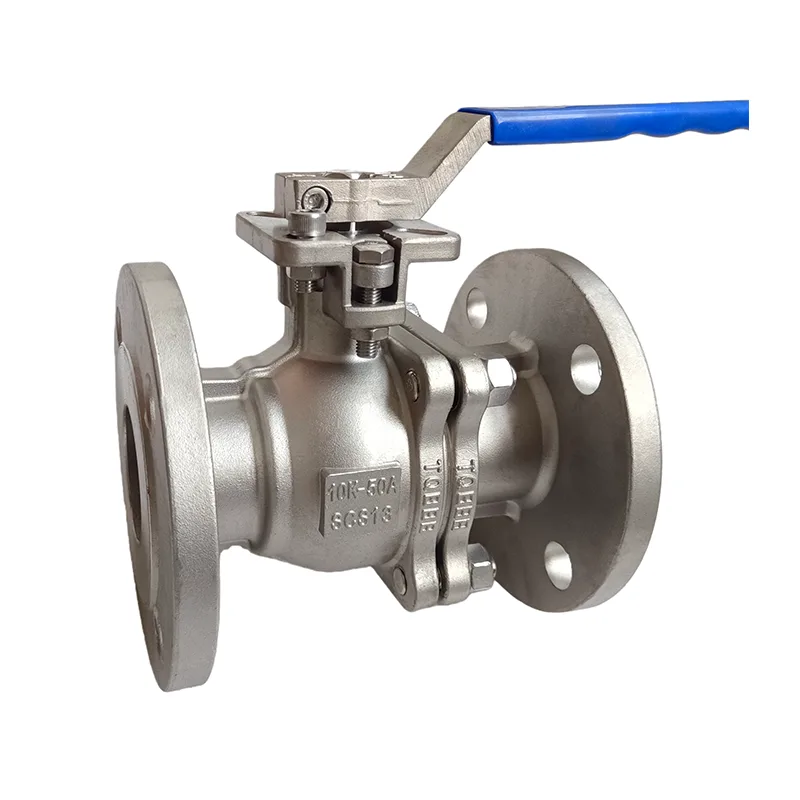 Stainless Steel JIS Standard Bhora Valve